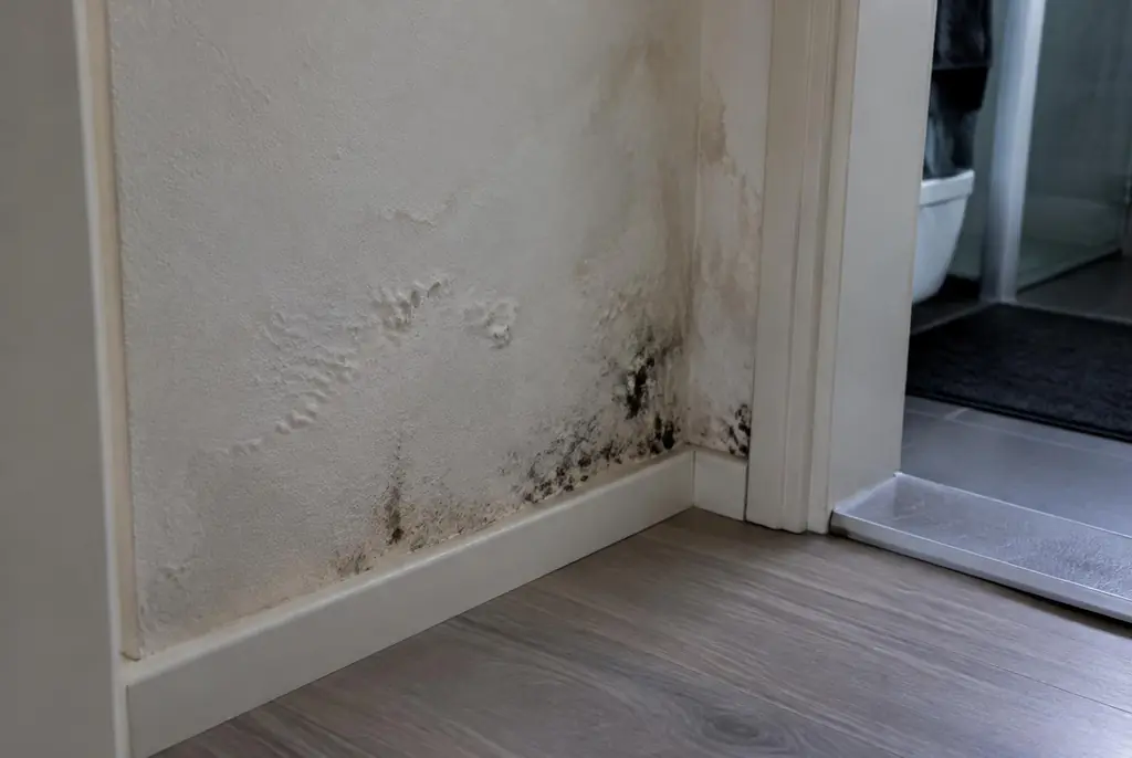 Lekdetectie Elst – vochtplek met schimmel op een muur